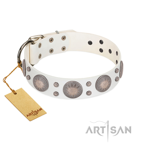 Gentle to touch full grain leather dog collar with exceptional embellishments