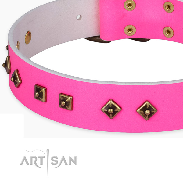 Trendy natural leather collar for your lovely doggie