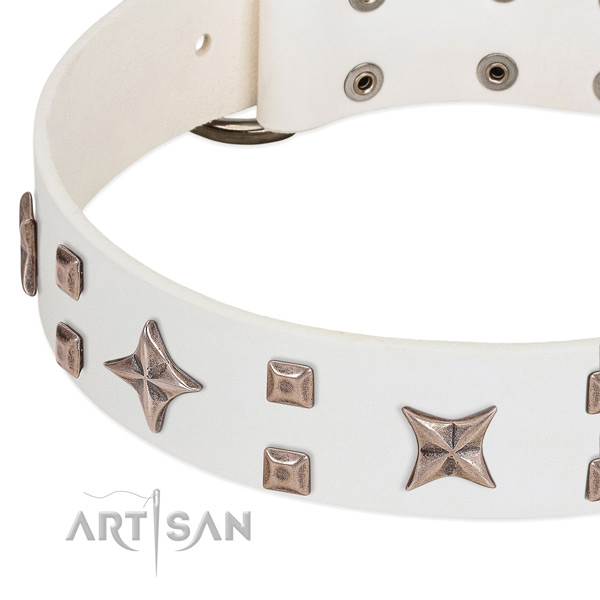 Strong traditional buckle on full grain natural leather collar for everyday walking your doggie