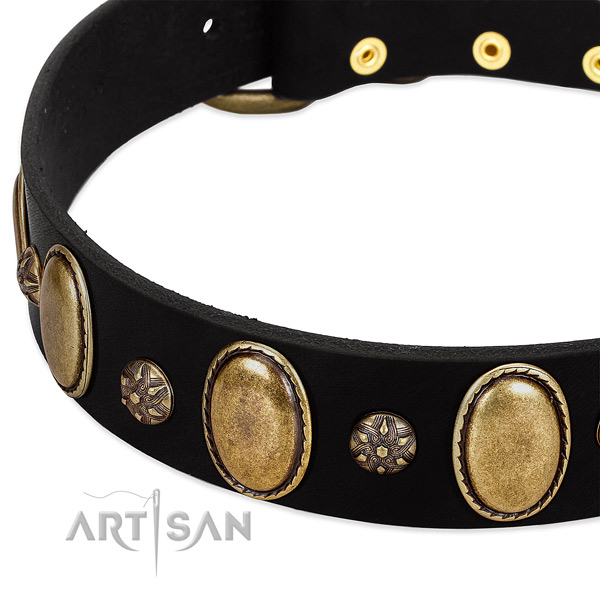 Fancy walking reliable leather dog collar