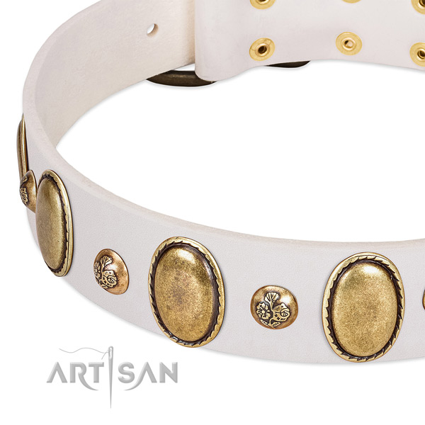 Full grain genuine leather dog collar with fashionable adornments
