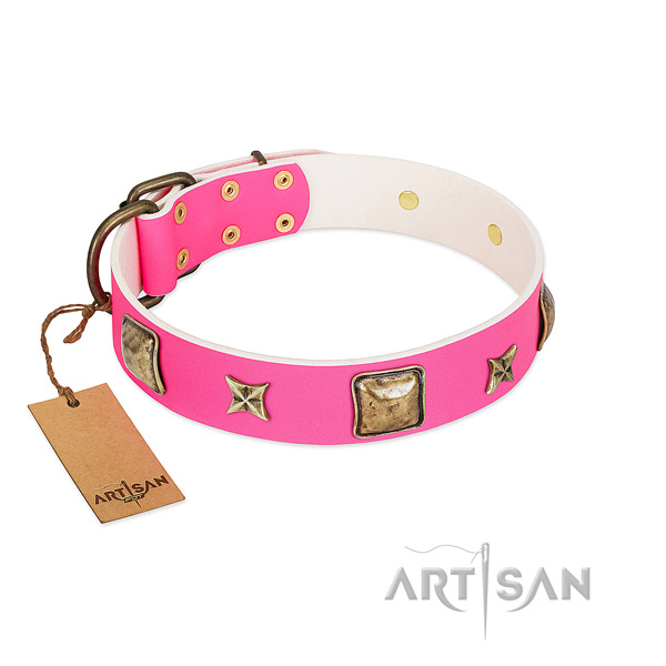 Full grain genuine leather dog collar of reliable material with impressive adornments
