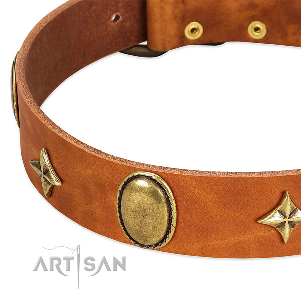 Strong full grain genuine leather dog collar with rust-proof hardware