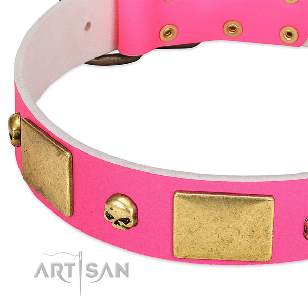 Top notch full grain leather collar with rust-proof studs for your pet