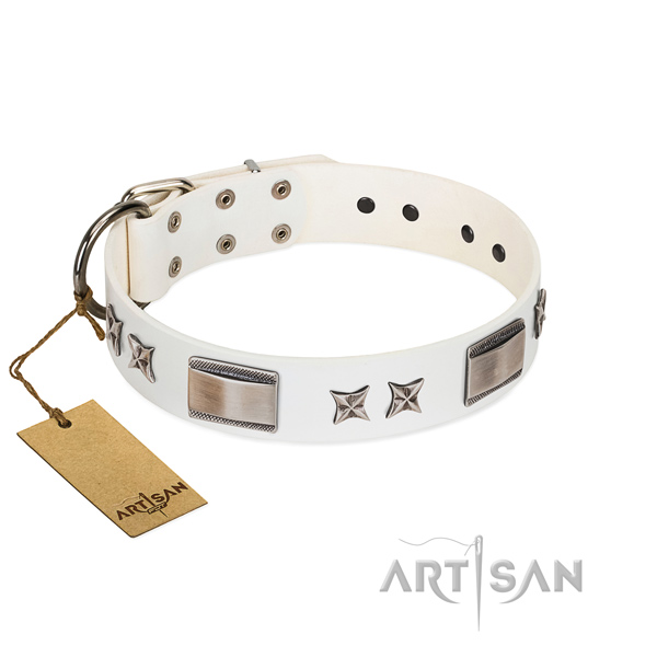 Adorned dog collar of full grain natural leather