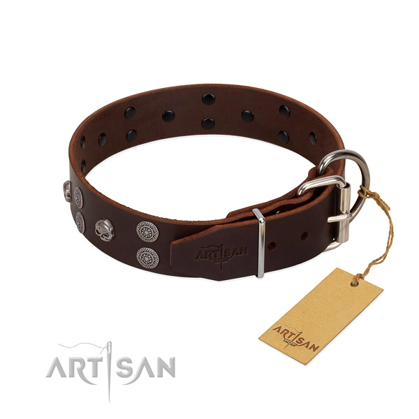 Best quality full grain natural leather dog collar with adornments for easy wearing