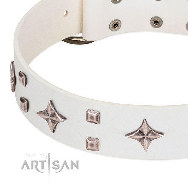 Handcrafted full grain genuine leather dog collar for daily walking