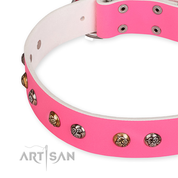 Genuine leather dog collar with designer reliable studs