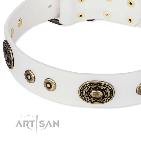 Genuine leather dog collar made of soft to touch material with adornments