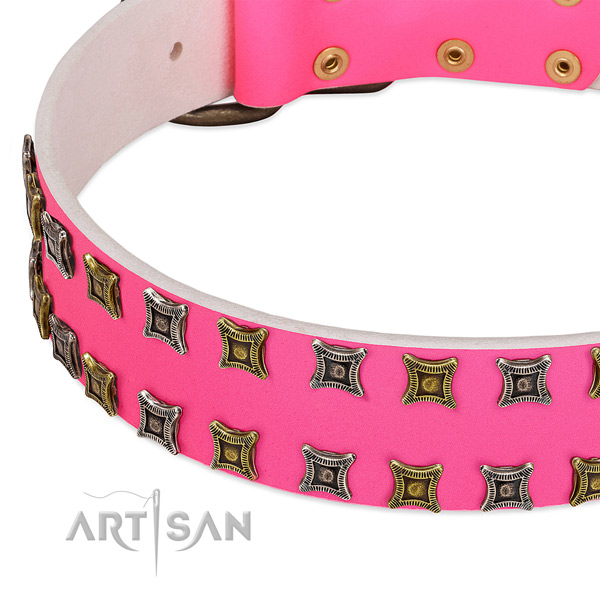 Full grain natural leather dog collar with exceptional decorations