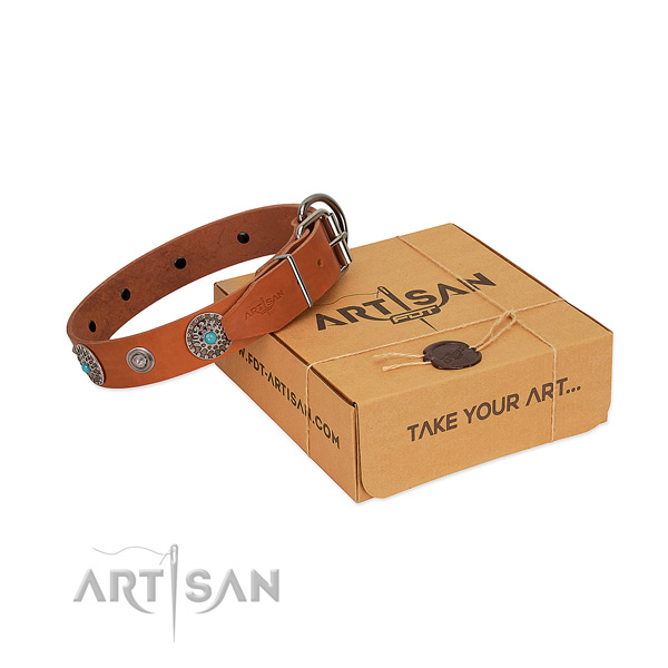 Fancy walking full grain natural leather dog collar with decorations