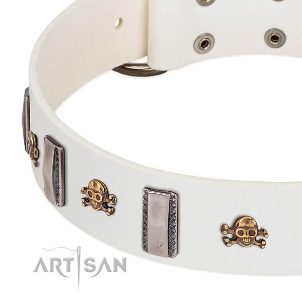 Stunning studs on leather dog collar for easy wearing