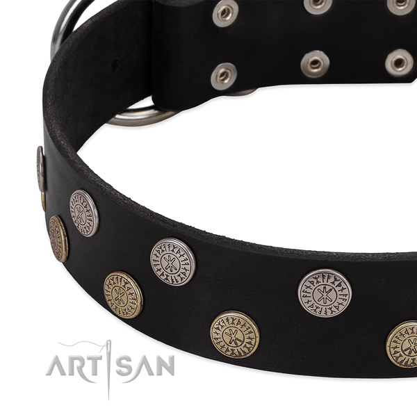 Gentle to touch full grain genuine leather dog collar with adornments for your handsome canine
