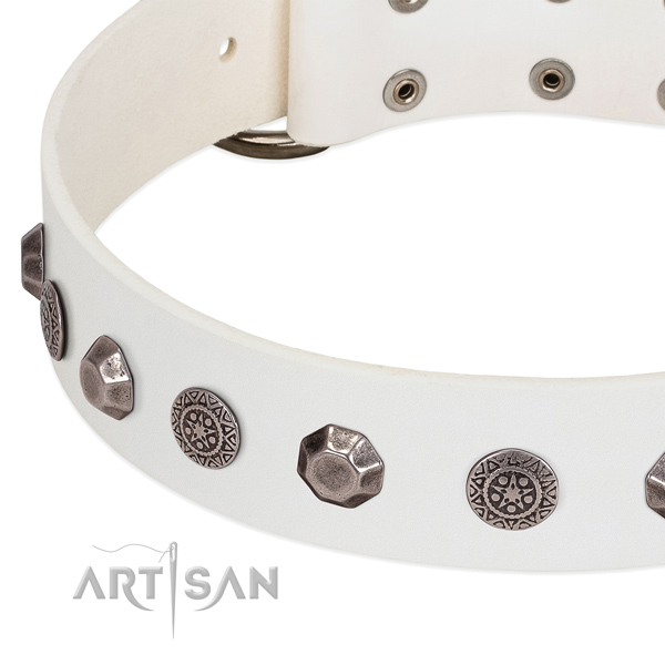 Impressive genuine leather collar for your doggie stylish walking