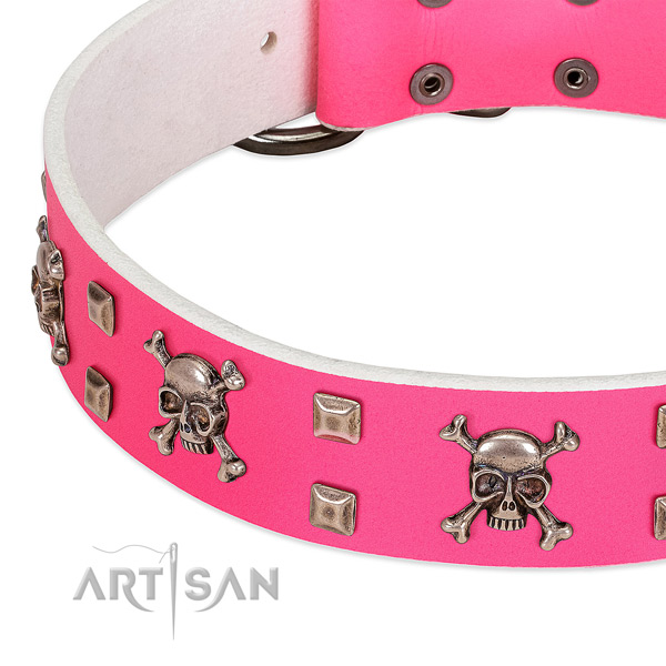 Corrosion proof embellishments on full grain leather dog collar