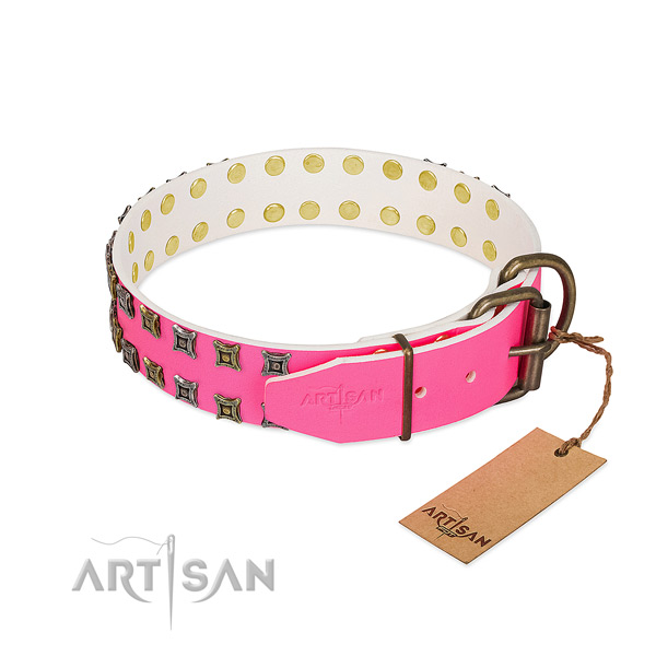 Leather collar with top notch adornments for your pet