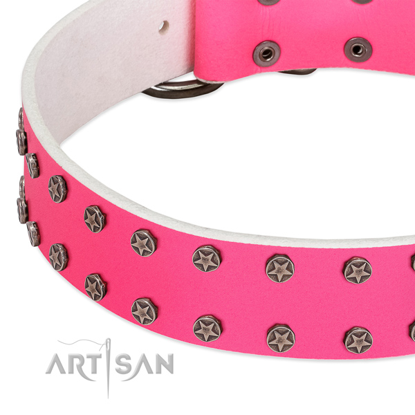 High quality full grain natural leather dog collar with decorations for your four-legged friend