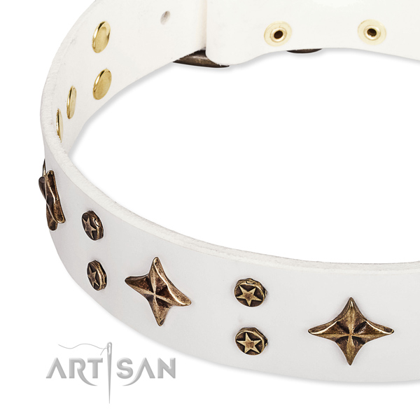 Easy wearing adorned dog collar of strong full grain natural leather
