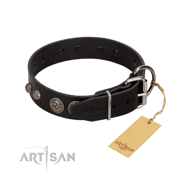 Impressive genuine leather dog collar with reliable D-ring