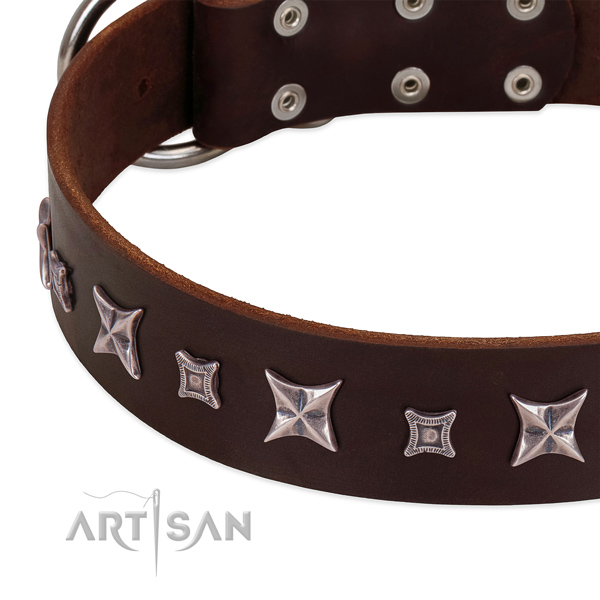 custom leather dog collars