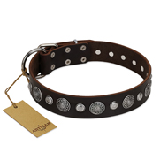 "Victory Ode" FDT Artisan Brown Leather Amstaff Collar with Silver-like Plated Decorations