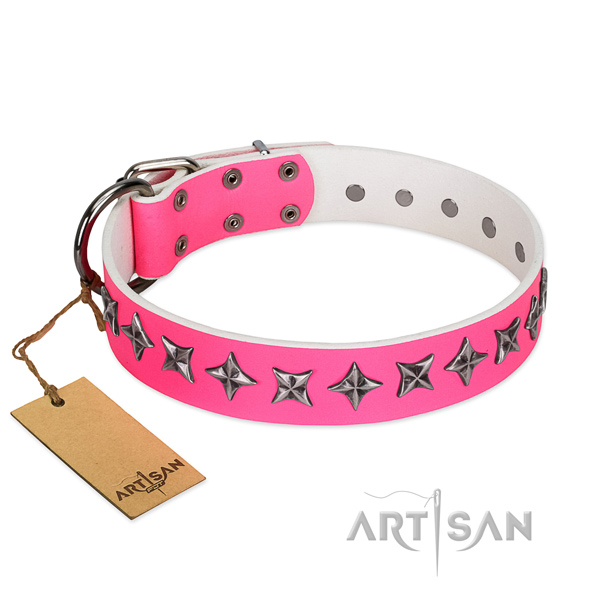 Quality full grain natural leather dog collar with remarkable embellishments