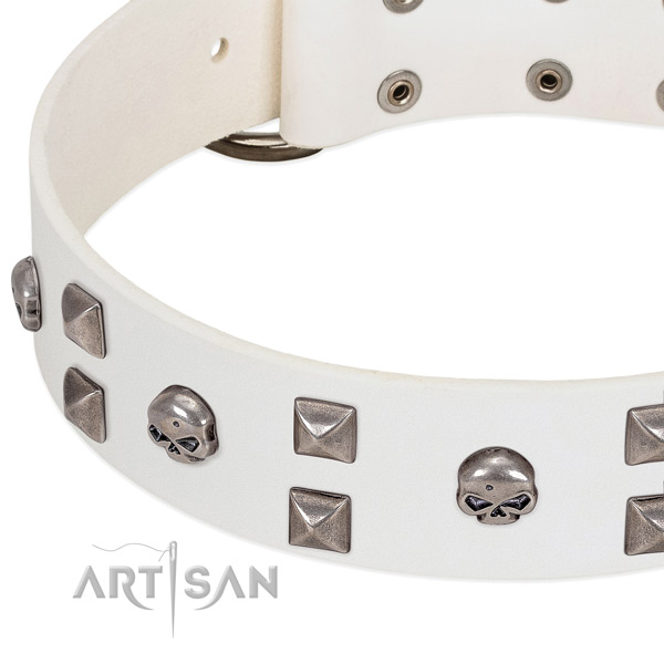 Leather collar with stylish decorations for your pet