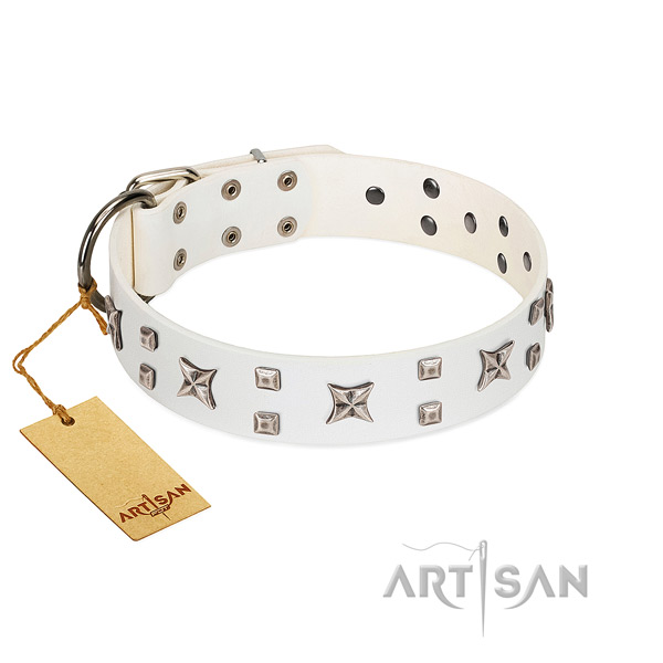 Quality genuine leather dog collar with extraordinary adornments