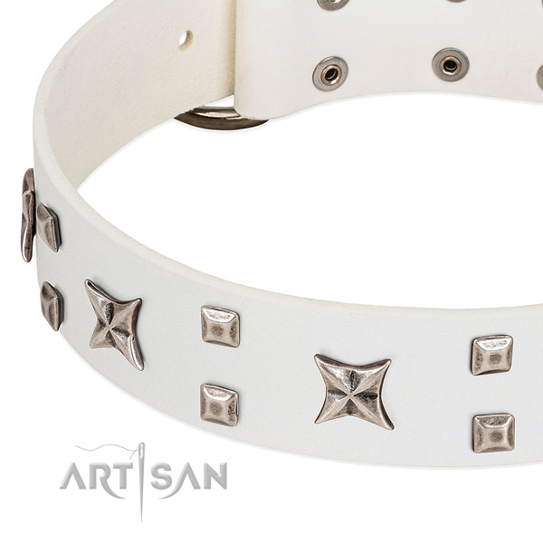 Gentle to touch natural leather dog collar with studs for stylish walking