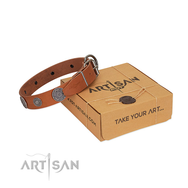 Remarkable dog collar of leather