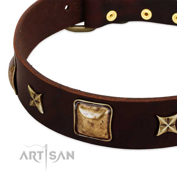 Rust resistant buckle on genuine leather dog collar for your pet