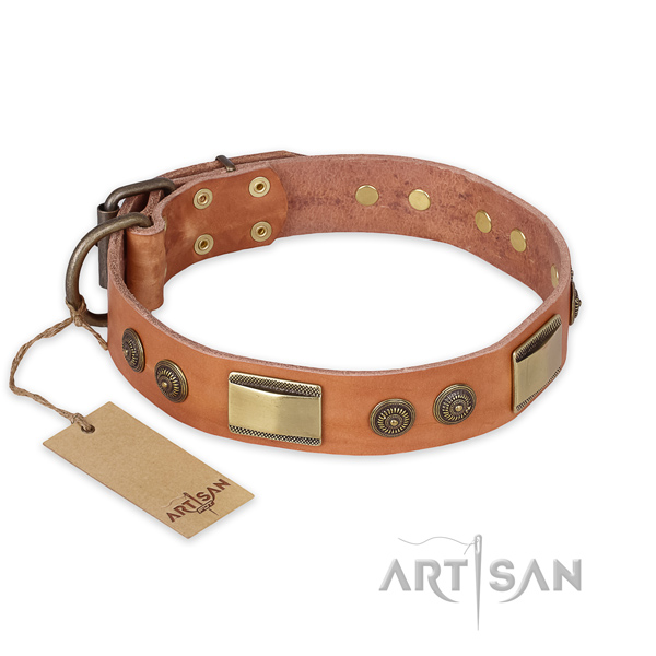 Unusual leather dog collar for everyday use