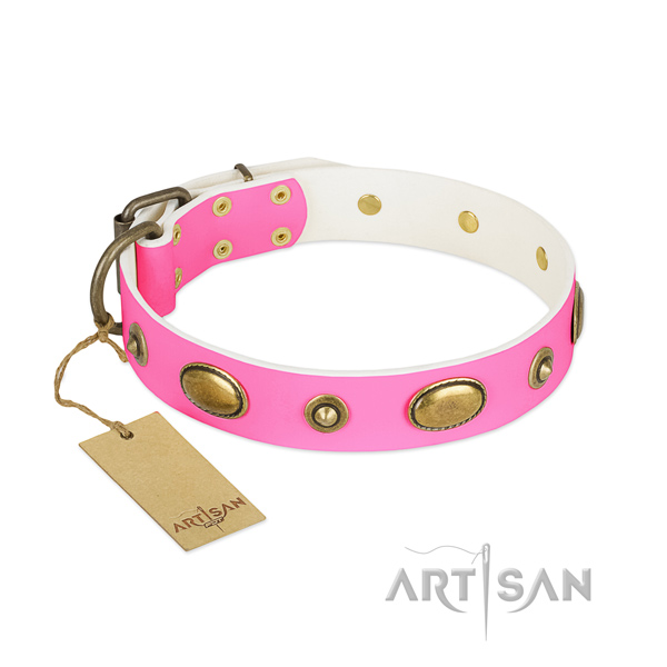 Trendy full grain leather collar for your four-legged friend