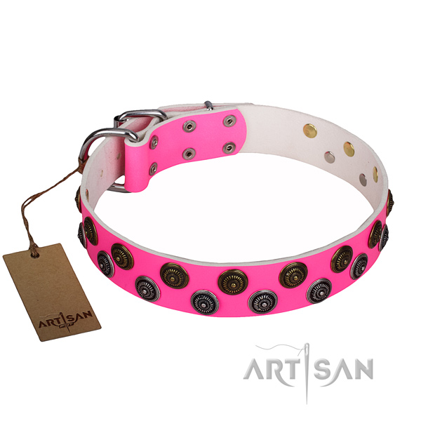 Stylish walking dog collar of reliable full grain leather with adornments