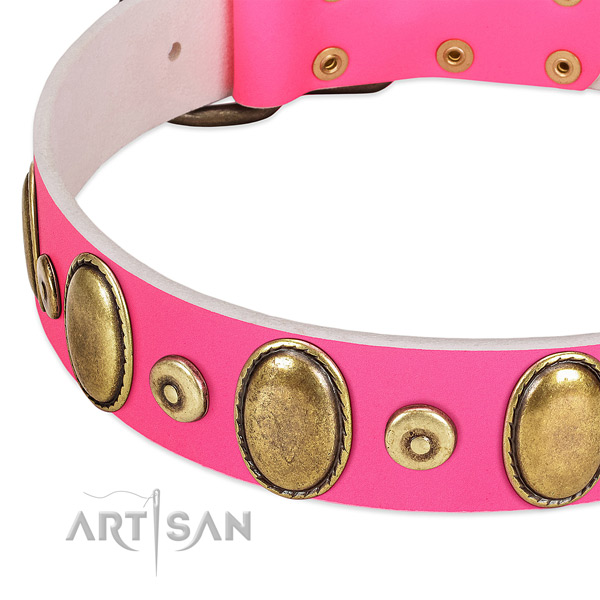 Best quality full grain genuine leather collar with rust resistant embellishments for your doggie