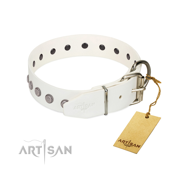 Impressive embellishments on natural leather collar for easy wearing your dog