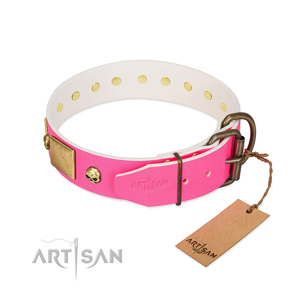 Strong leather dog collar with corrosion resistant embellishments