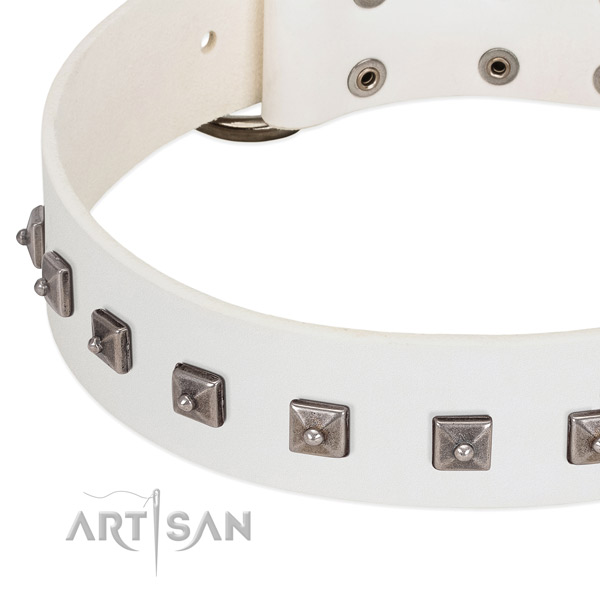 Soft to touch genuine leather dog collar with top notch embellishments