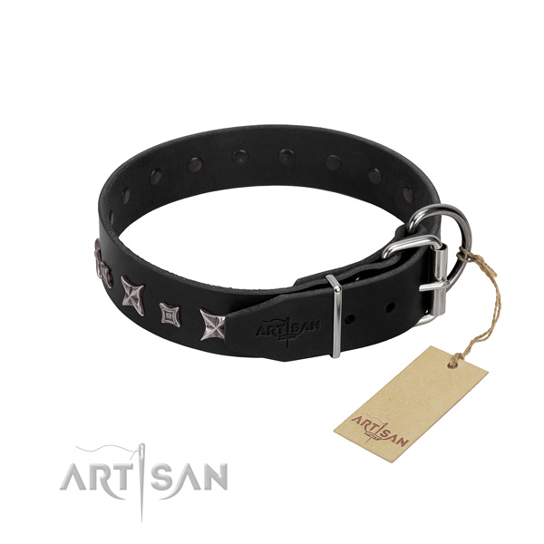 studded dog collar