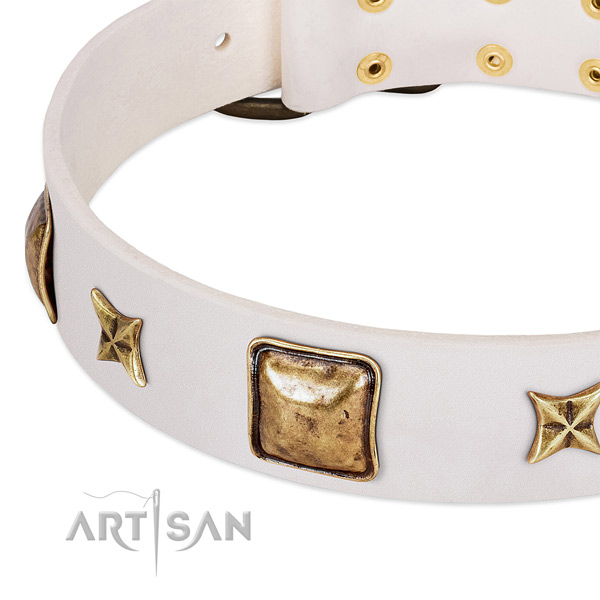 Durable fittings on full grain leather dog collar for your pet