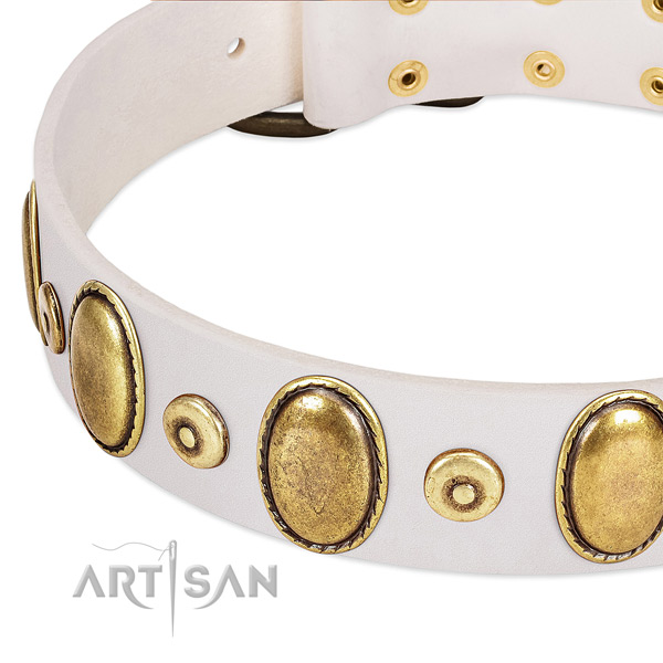 Soft to touch leather collar with rust-proof embellishments for your dog