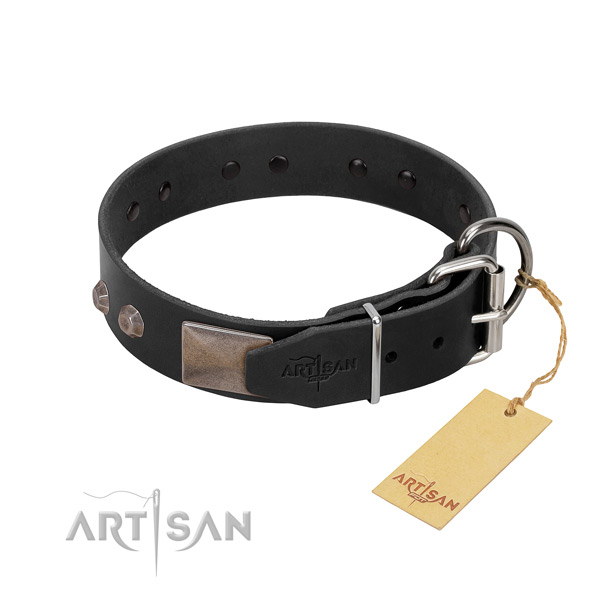 Awesome genuine leather dog collar for walking in style your doggie