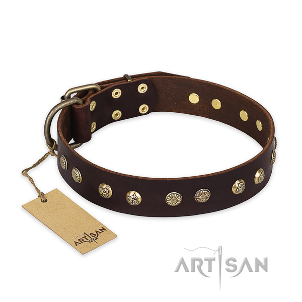 Incredible leather dog collar with rust-proof buckle