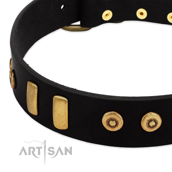 Reliable natural leather collar with extraordinary decorations for your dog