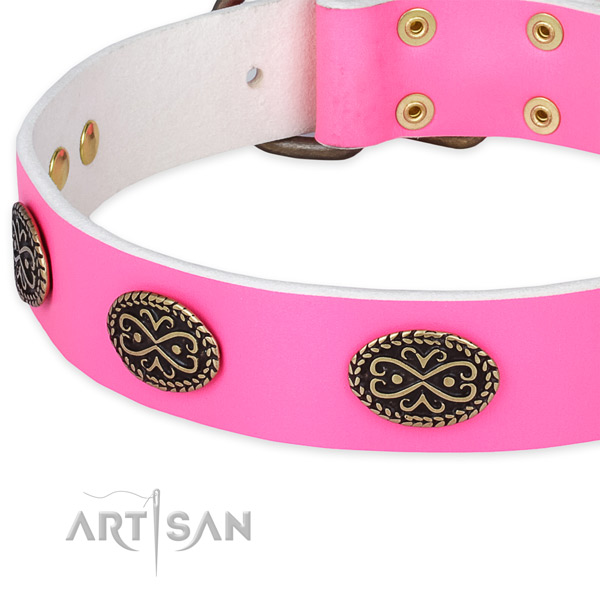 Full grain leather dog collar with adornments for everyday use