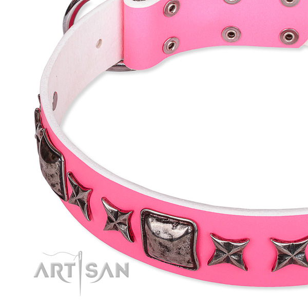 Comfy wearing decorated dog collar of quality full grain natural leather