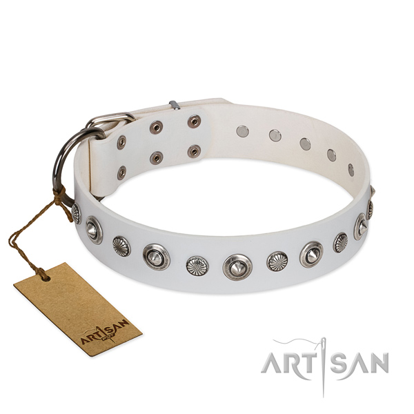 Durable full grain genuine leather dog collar with fashionable studs