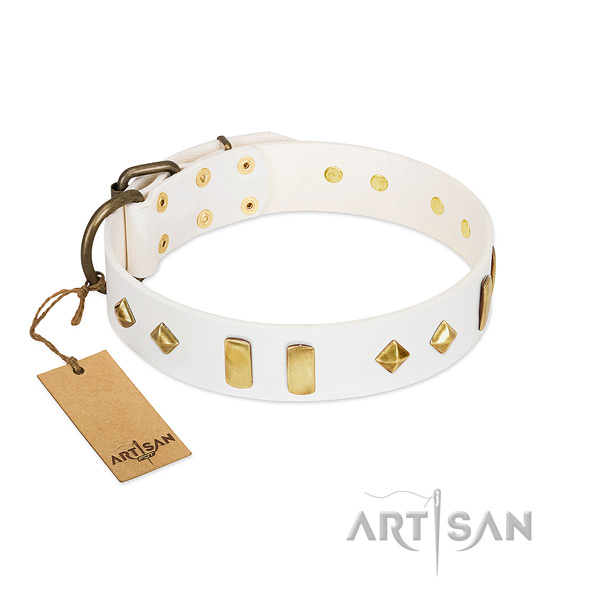 Best quality leather dog collar with rust-proof fittings