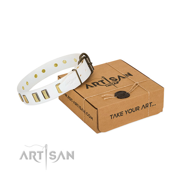 Top notch full grain genuine leather dog collar with adornments for stylish walking