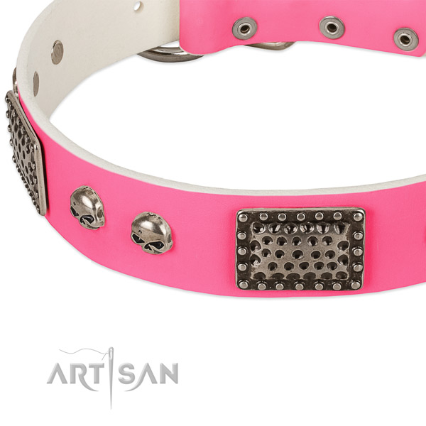 Rust-proof decorations on full grain leather dog collar for your pet